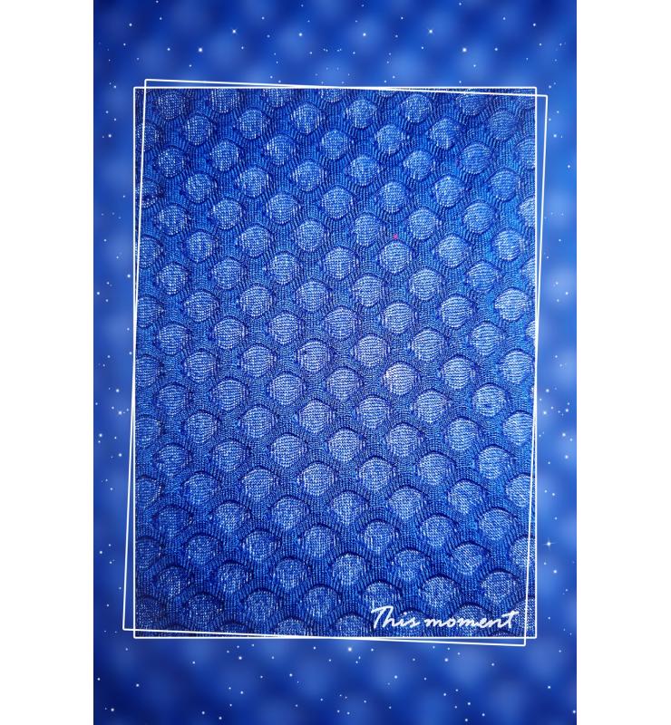 锦氨提花布 DNNS050