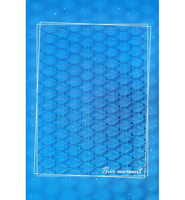 涤氨提花布 DPS518