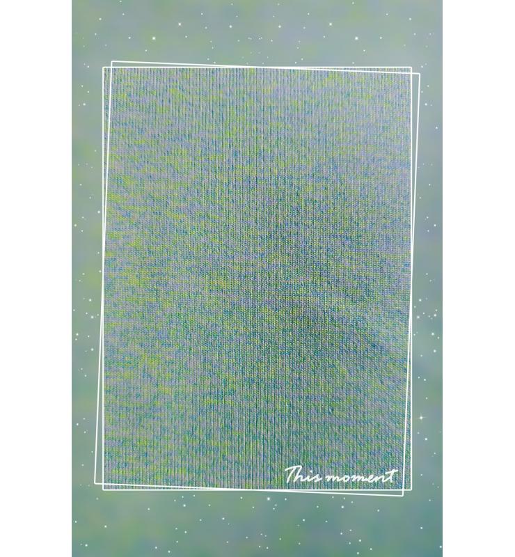 涤氨花灰布 DWPS088-02